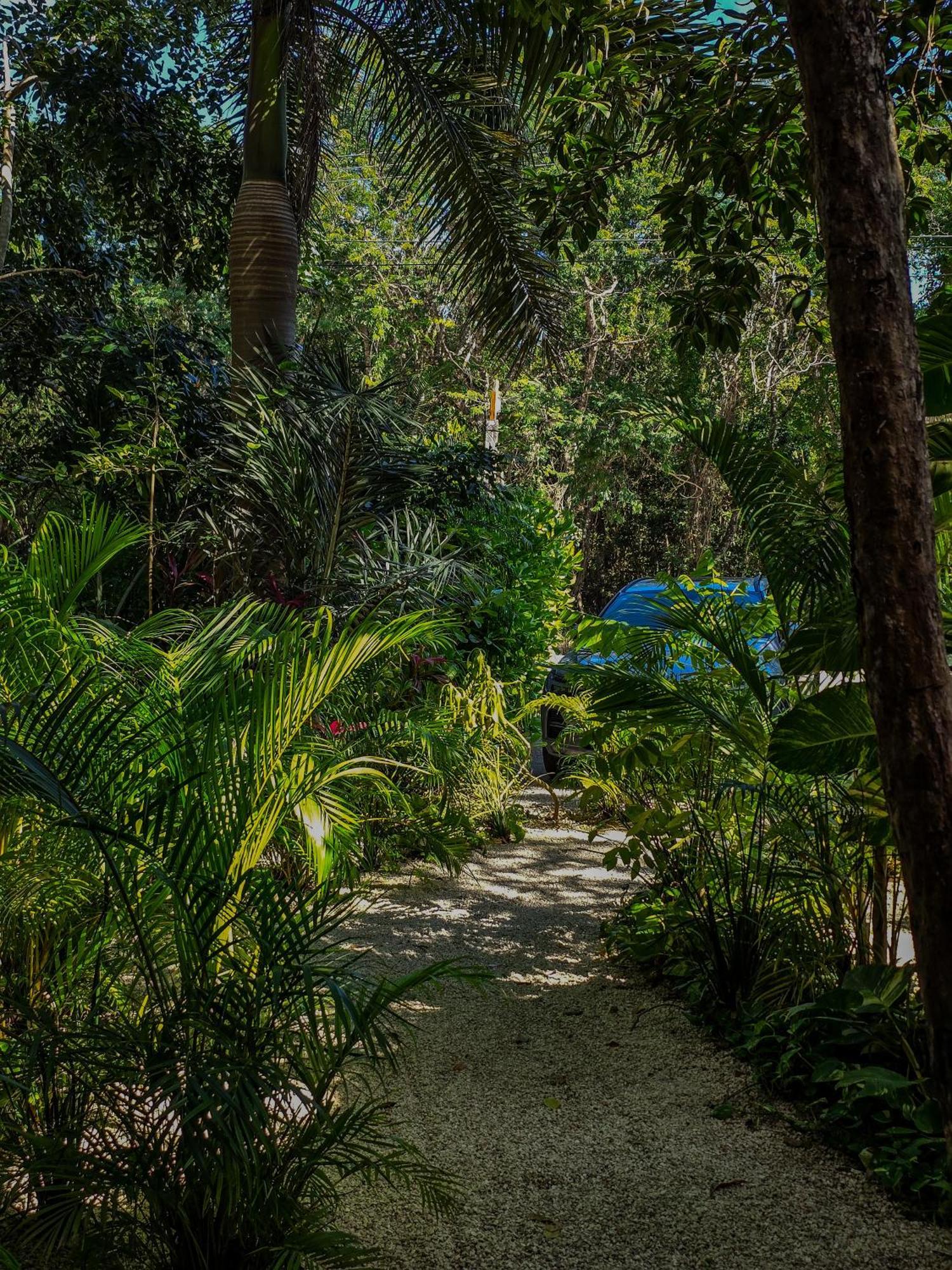 Ferienwohnung Ku Kuk Glamping Chemuyil Exterior foto